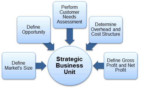 Las UEN (Unidad Estratégica de Negocio)