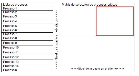 Matriz de Selección de Procesos Críticos