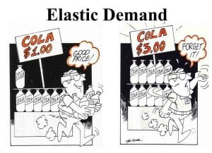 Precio Elasticidad de la demanda