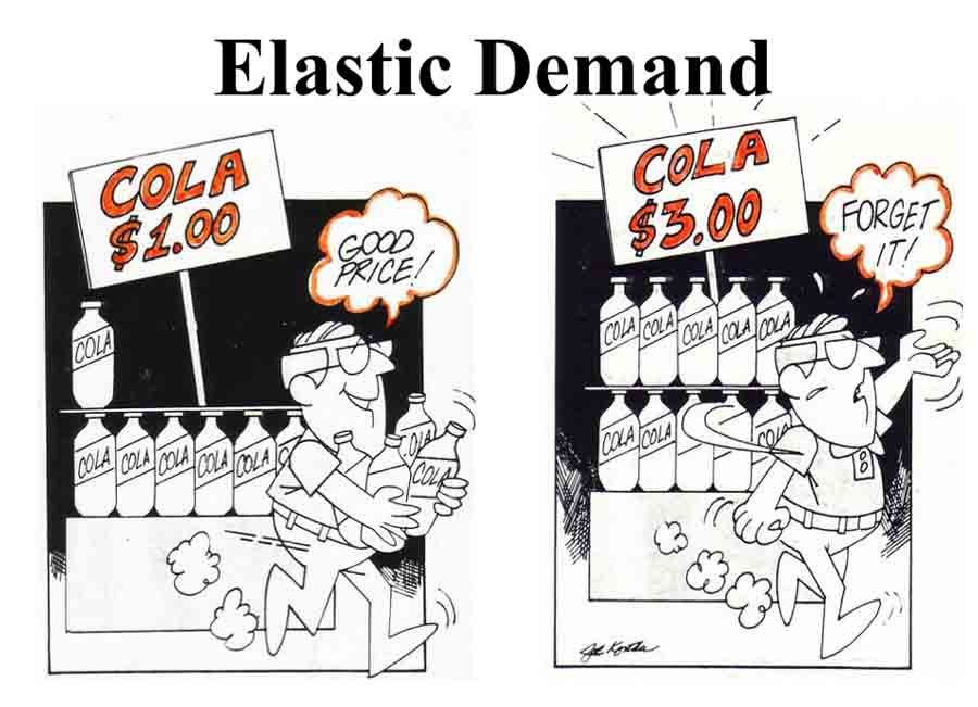 Elasticidad... de oferta y demanda - Economía II