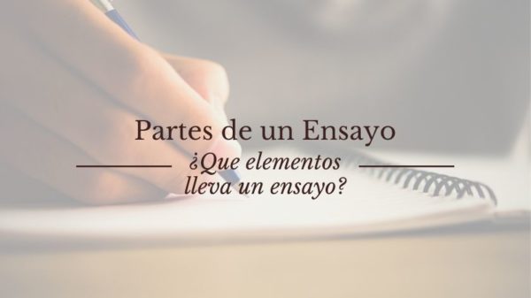 partes de un ensayo - elementos