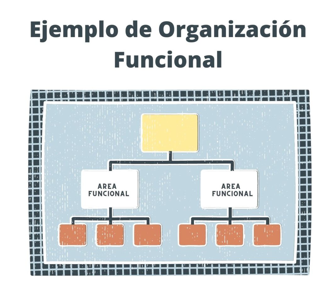 Organización Funcional Ventajas, Desventajas y sus Características Web y Empresas