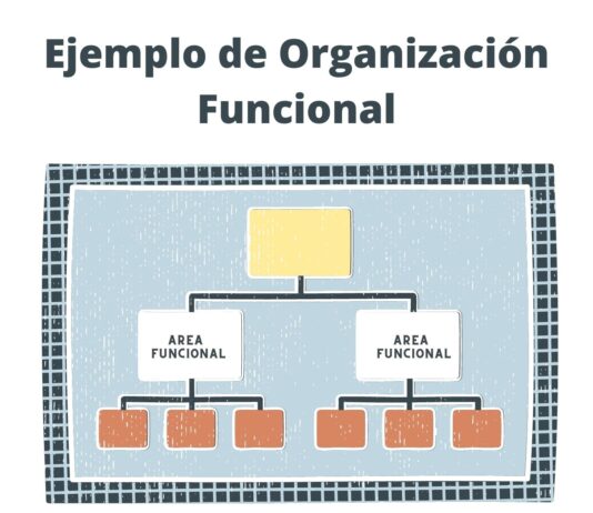 Organización Funcional: Ventajas, Desventajas y sus Características