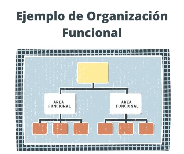 organización funcional o estructura funcional