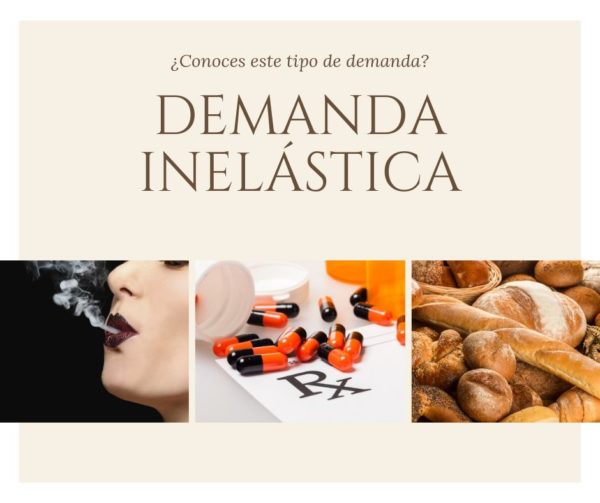 concepto de Demanda Inelástica