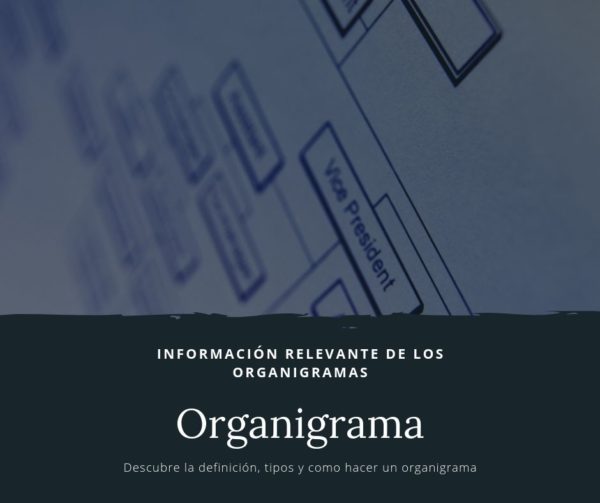 organigrama
