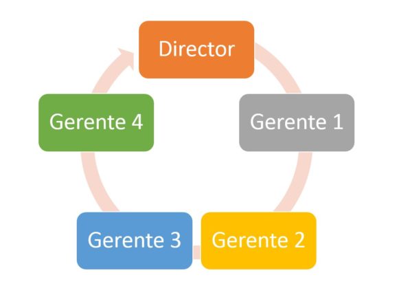organigrama circular