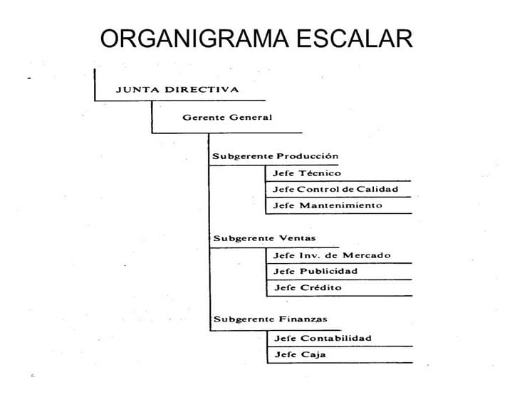 Organigrama Escalar 2022 Web Y Empresas