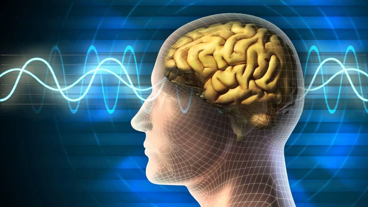 gimnasia cerebral y cuáles son sus beneficios