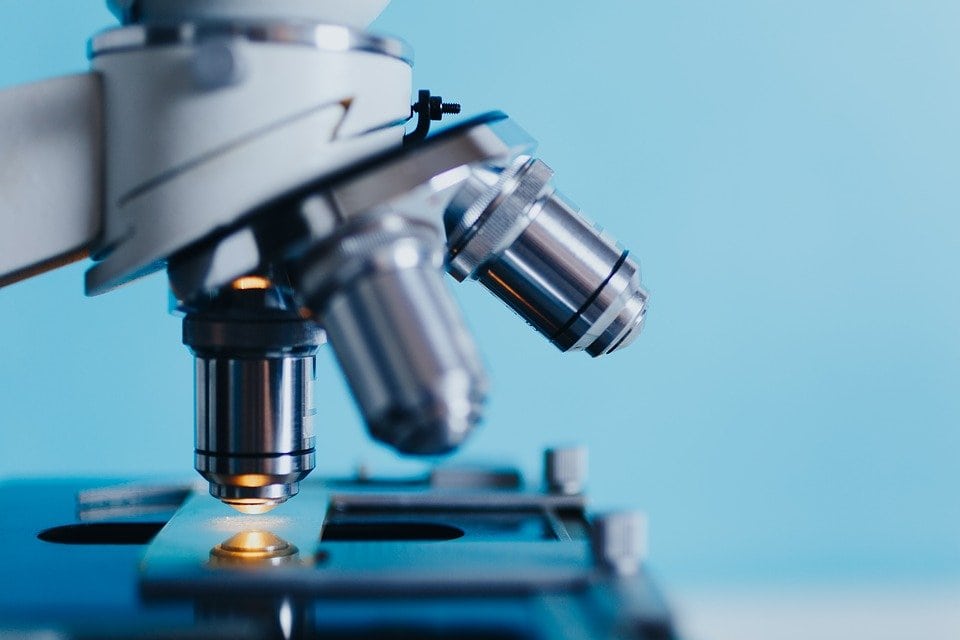 biología y bioquímica