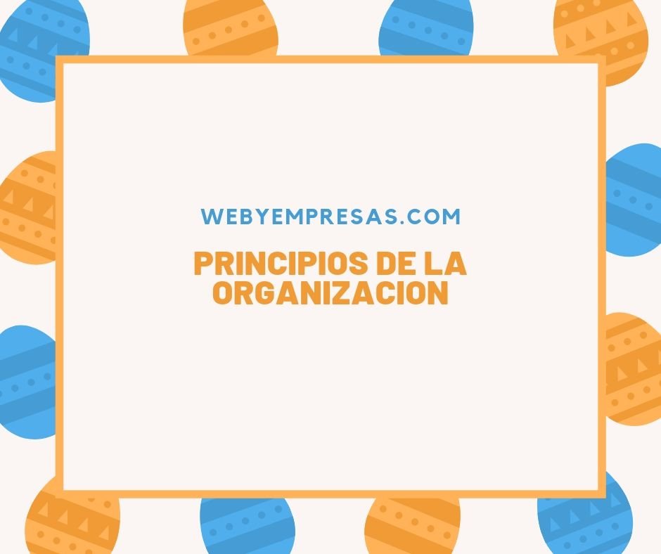 Principios de la Organización ¿Cuáles son?
