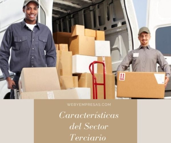 Características del sector terciario