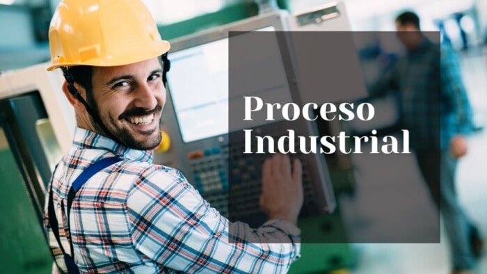 proceso industrial