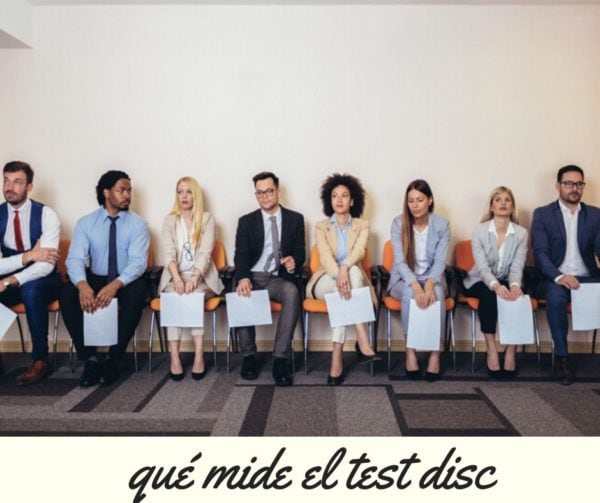 qué mide el test disc