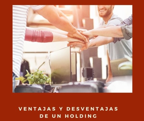 ventajas de holding