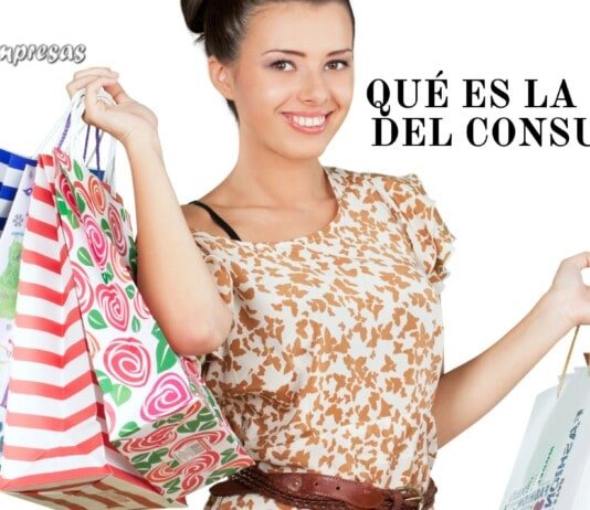 ¿Qué es la Teoría del Consumidor? teoría del consumidor