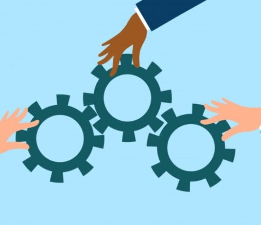 ¿Cuáles son los tipos de roles en un equipo de trabajo? roles en un equipo de trabajo