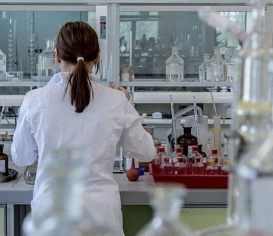 14 Ejemplos del Sector Cuaternario sector cuaternario