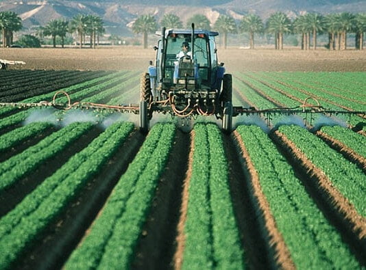 8 Ejemplos del Sector Primario Ejemplos del sector primario