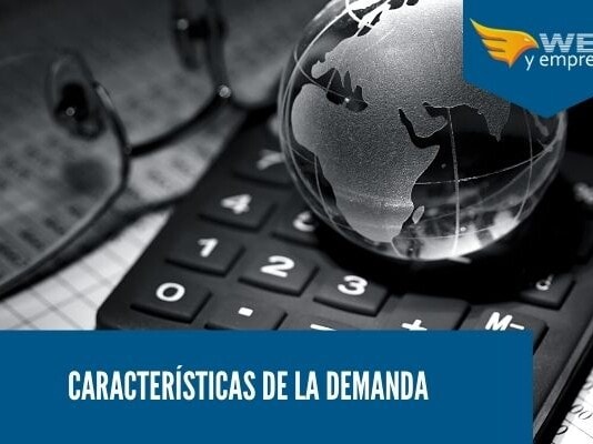 8 Características de la Demanda Caracteristicas de la demanda