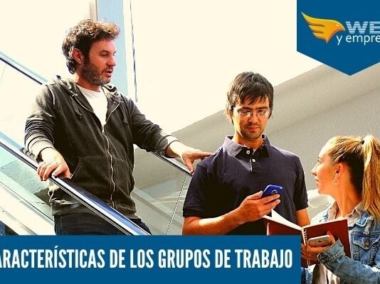 13 Características de los Grupos de Trabajo Cuales son las caracteristicas de los grupos de trabajo