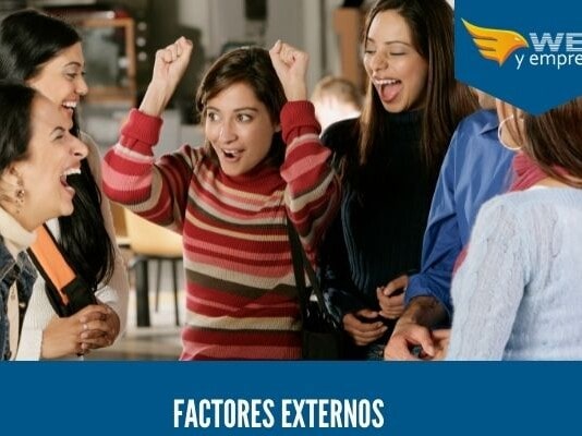 8 Factores Externos que Afectan la Conducta de las Personas en las organizaciones tipo de factores externos