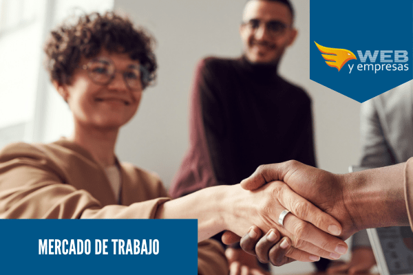 Mercado de Trabajo Web y Empresas