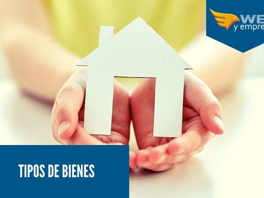 Tipos de Bienes ¿Cuáles son? Cuáles son los Tipos de Bienes