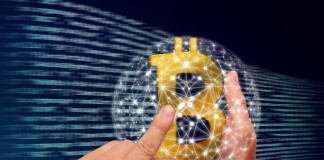 5 Prometedores Proyectos de Criptomonedas para Invertir a Largo Plazo