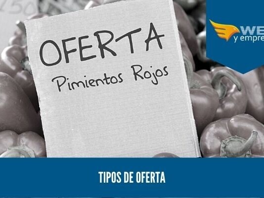 9 Tipos de Oferta en la Economía