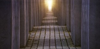 ¿Qué tipo de trabajos puedes hacer con una cortadora de concreto?