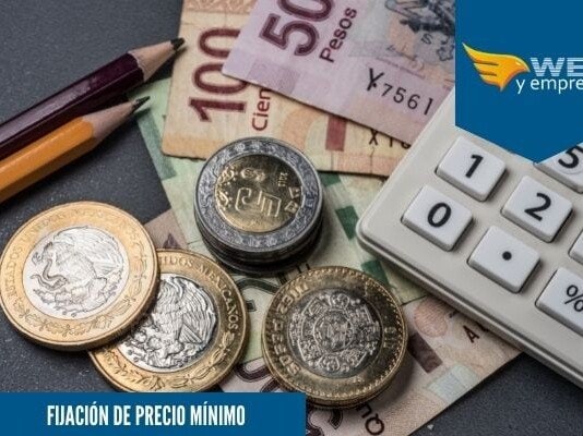 Fijación de Precio Mínimo; Que es, Ejemplo y Ejercicio Fijación de precio mínimo