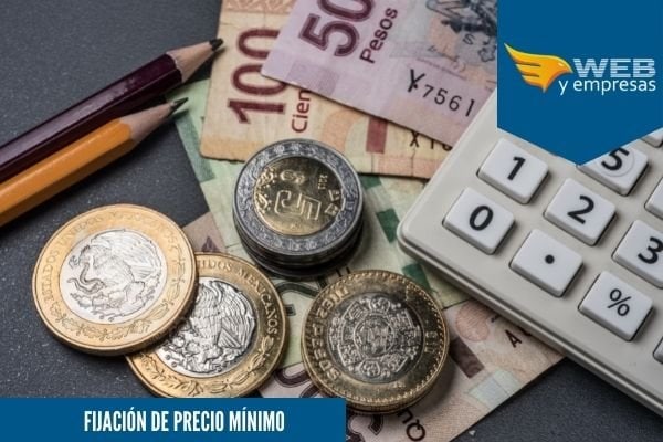 Fijación de Precio Mínimo; Que es, Ejemplo y Ejercicio