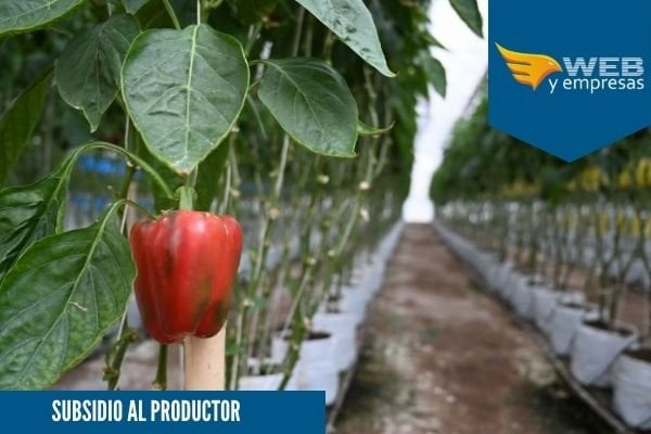 Subsidios al productor; Qué es, Ejemplo y Ejercicio