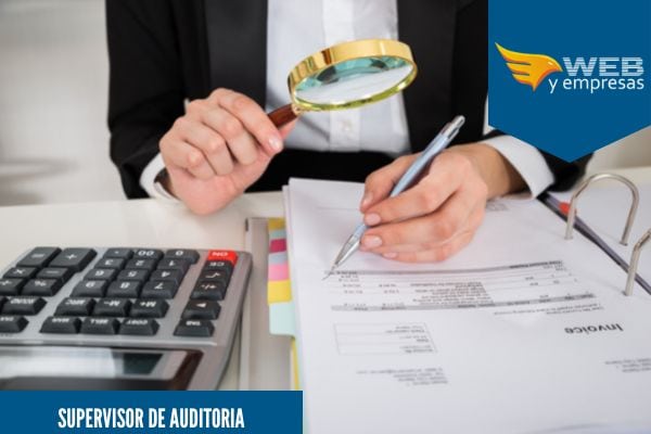 supervisor de auditoria