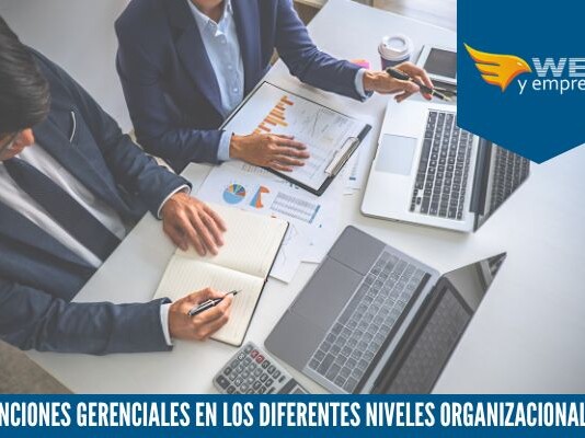 Funciones Gerenciales en los diferentes niveles Organizacionales unciones gereciales en los diferentes niveles organizacionales