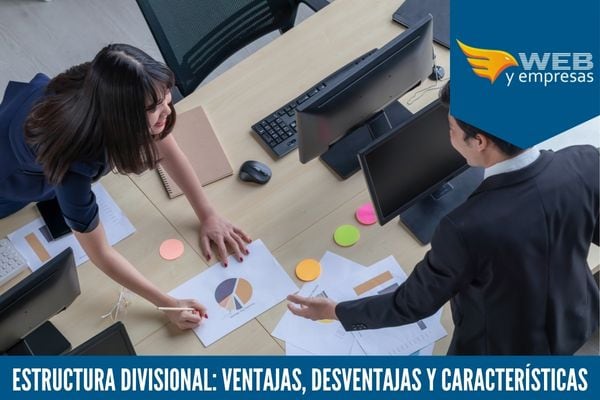 Estructura Divisional Ventajas, Desventajas y Características