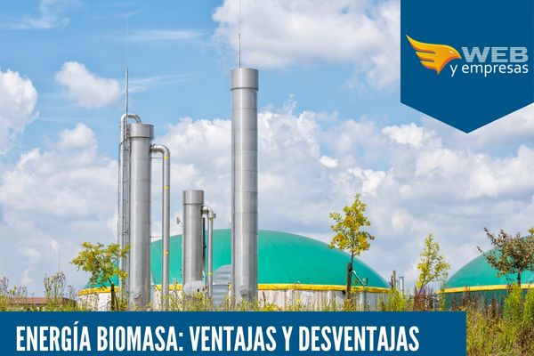 Energía Biomasa: 6 Ventajas y Desventajas