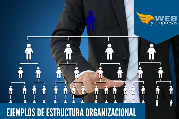 Ejemplos de Estructura Organizacional