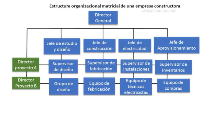 Diseño Organizacional De Una Empresa Ejemplos www.webyempresas.com