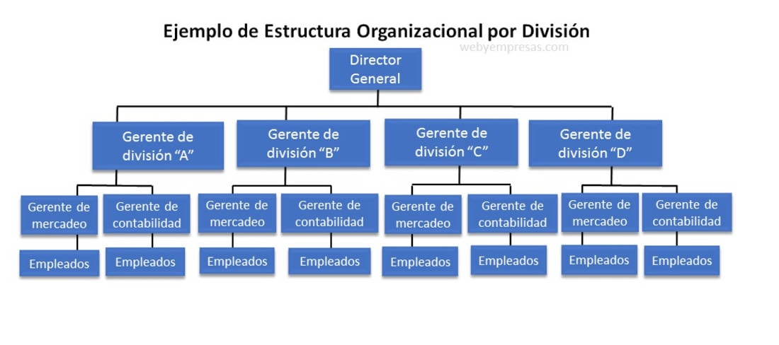 ejemplo de estructura organizacional por división
