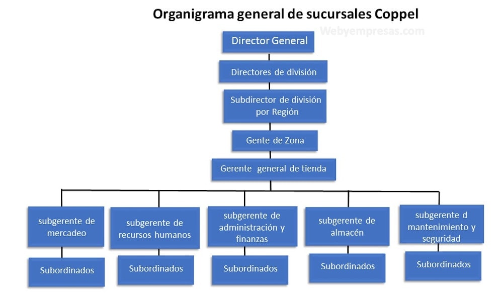 ejemplo de organigrama vertical de Coppel