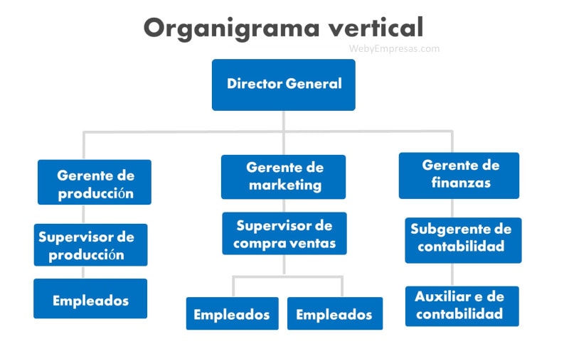 organigrama vertical ejemplo
