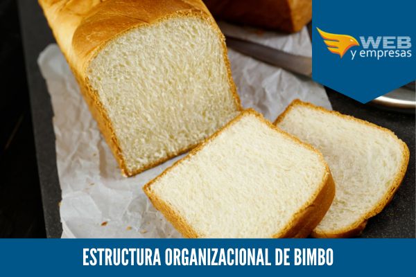 estructura de bimbo
