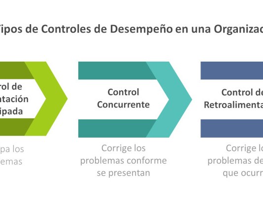 Tipos de Controles de Desempeño en una Organización y sus principales Herramientas Tipos de Controles de Desempeño en una Organización..