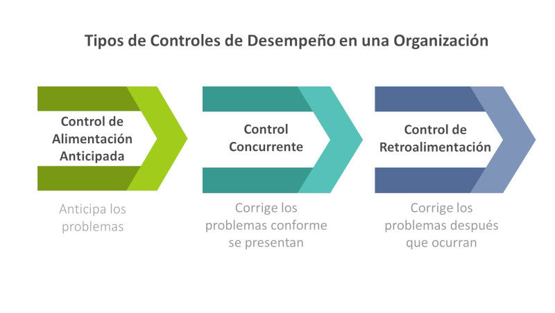 Tipos de Controles de Desempeño en una Organización..