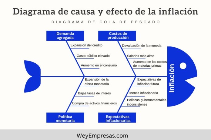 Diagrama de Causa y Efecto de la Inflación 1