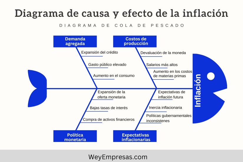 Diagrama de Causa y Efecto de la Inflación 1