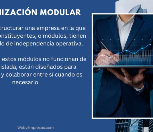 Organización Modular: Definición, Ventajas, Desventajas y Ejemplos en la Gestión Empresarial Organización Modular