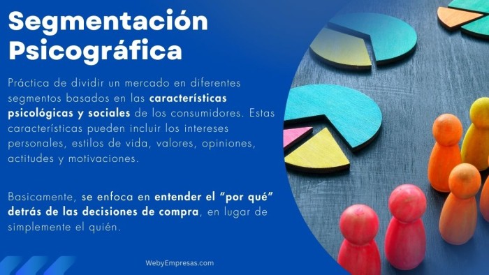 Segmentación Psicográfica del Mercado Qué es, Cómo se Hace y Ejemplos Prácticos